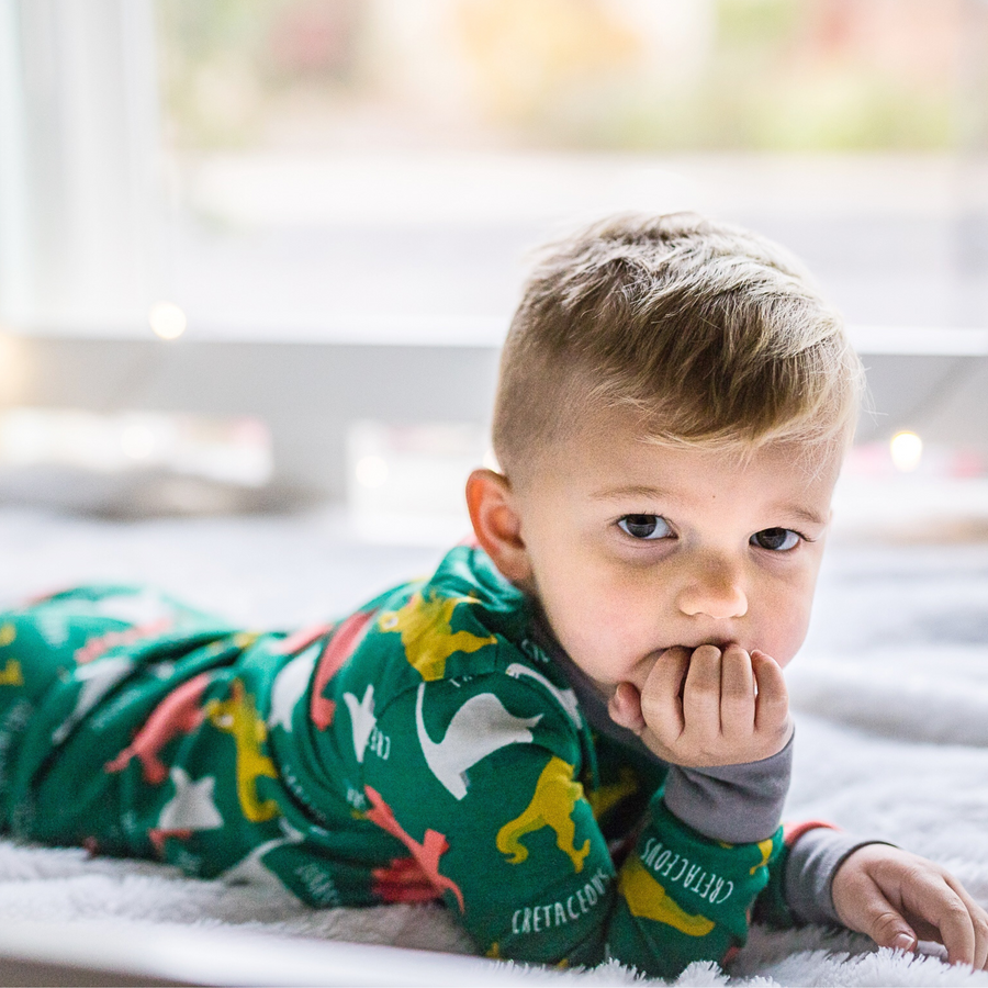 Baby boy dinosaur deals pyjamas